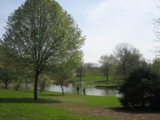 Kirby Park Pond